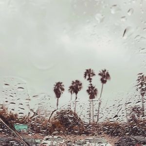 Meet your Posher, Minji